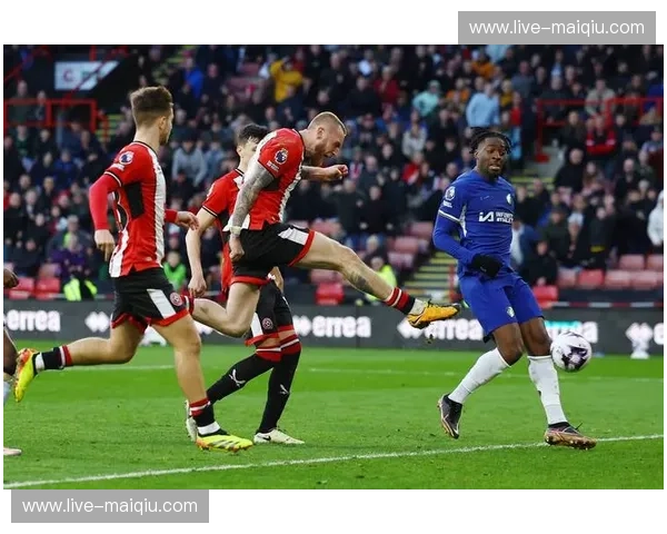 英超赛季总结——2023-2024赛季的激烈较量与未来展望