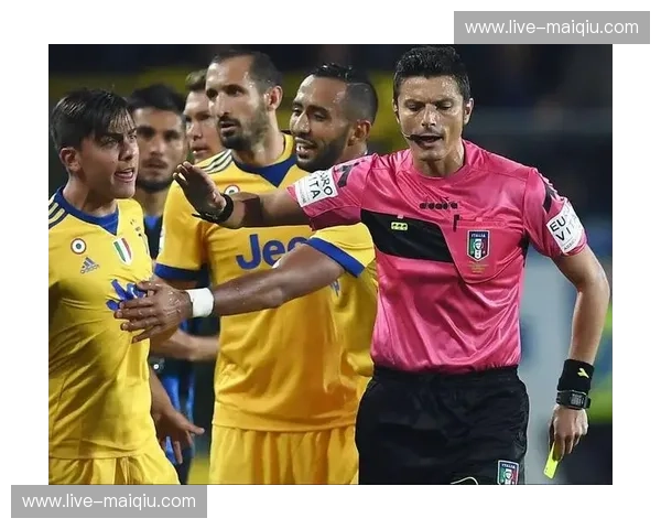 德甲裁判报告：揭示赛场背后的判罚逻辑与数据之美