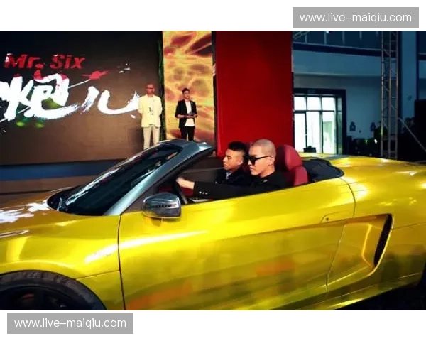 铁拳摧肋，谁与争锋？位宁辉PK麦克赛尔：那一夜，中国“小炮儿”让世界见证了毁灭性暴力美学